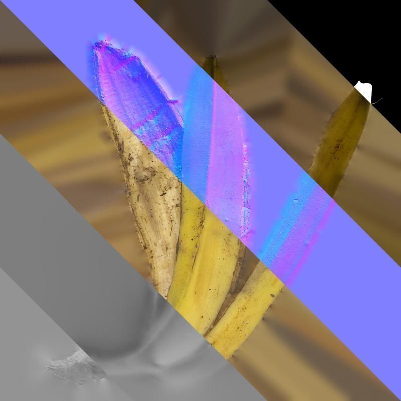 Anydrafts Banana peel 05 Texture_8