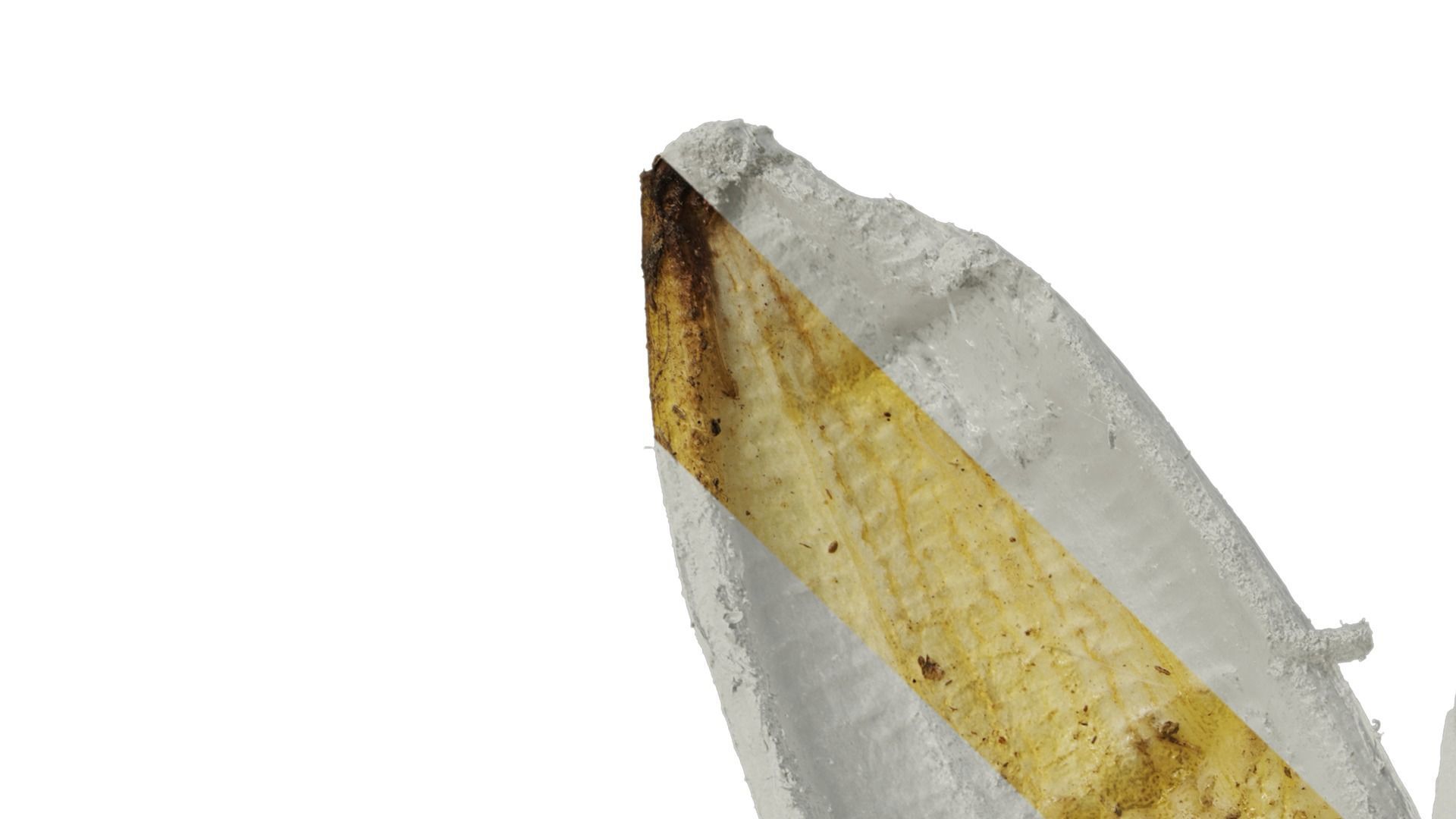 Anydrafts Banana peel 05 Texture_2