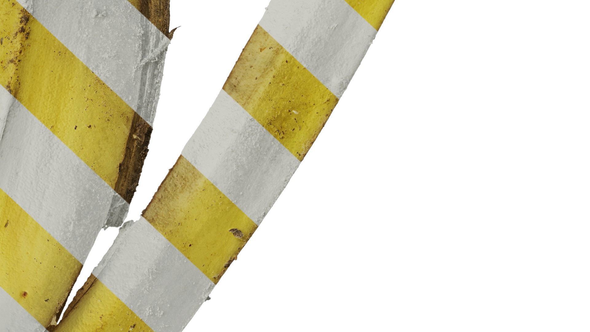 Anydrafts Banana peel 05 Texture_6