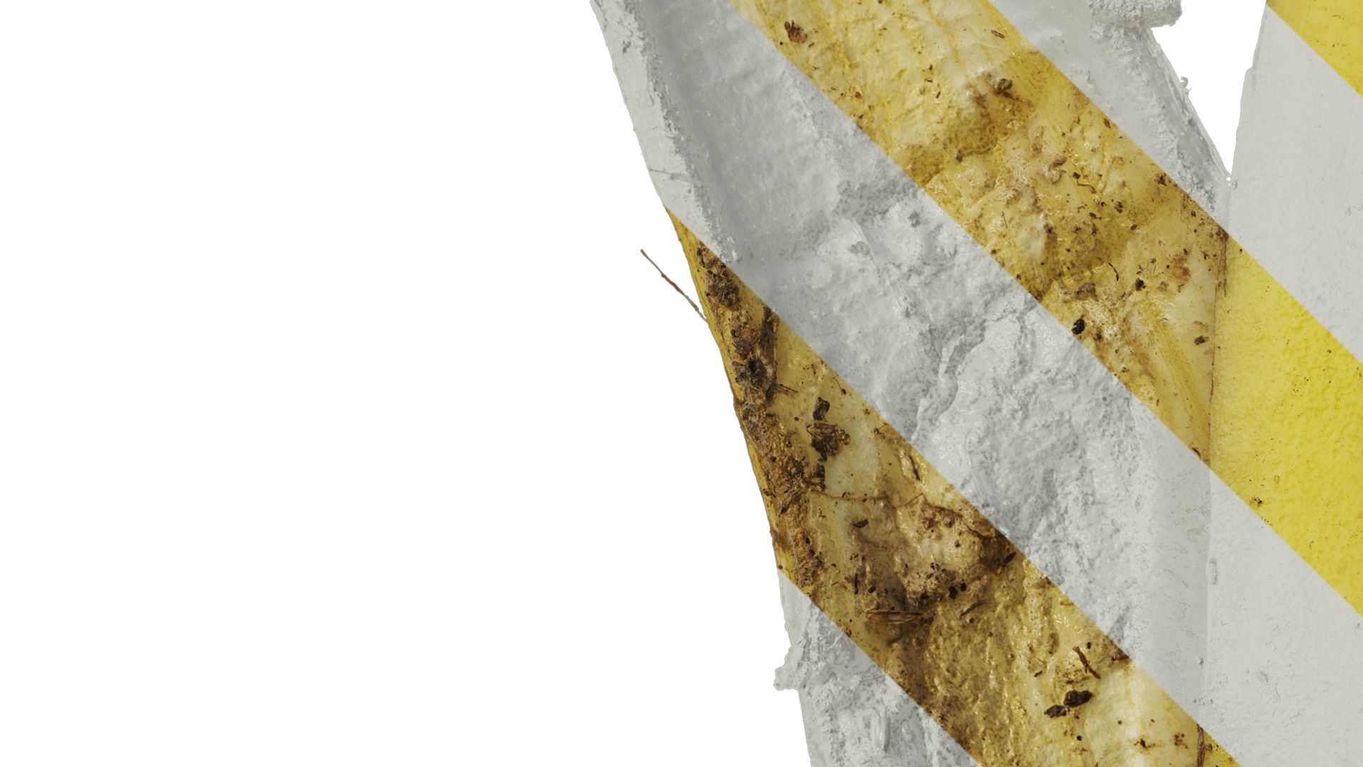 Anydrafts Banana peel 05 Texture_4