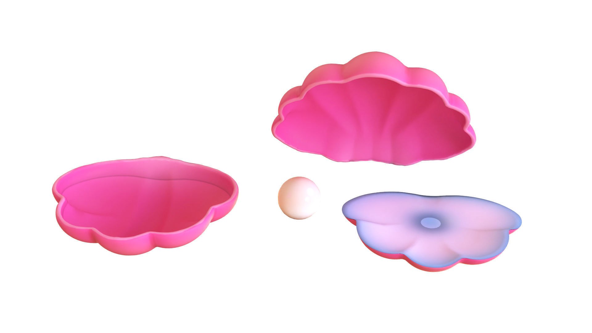 Open Clam Sea Shell 03 Low-poly 3D model_5
