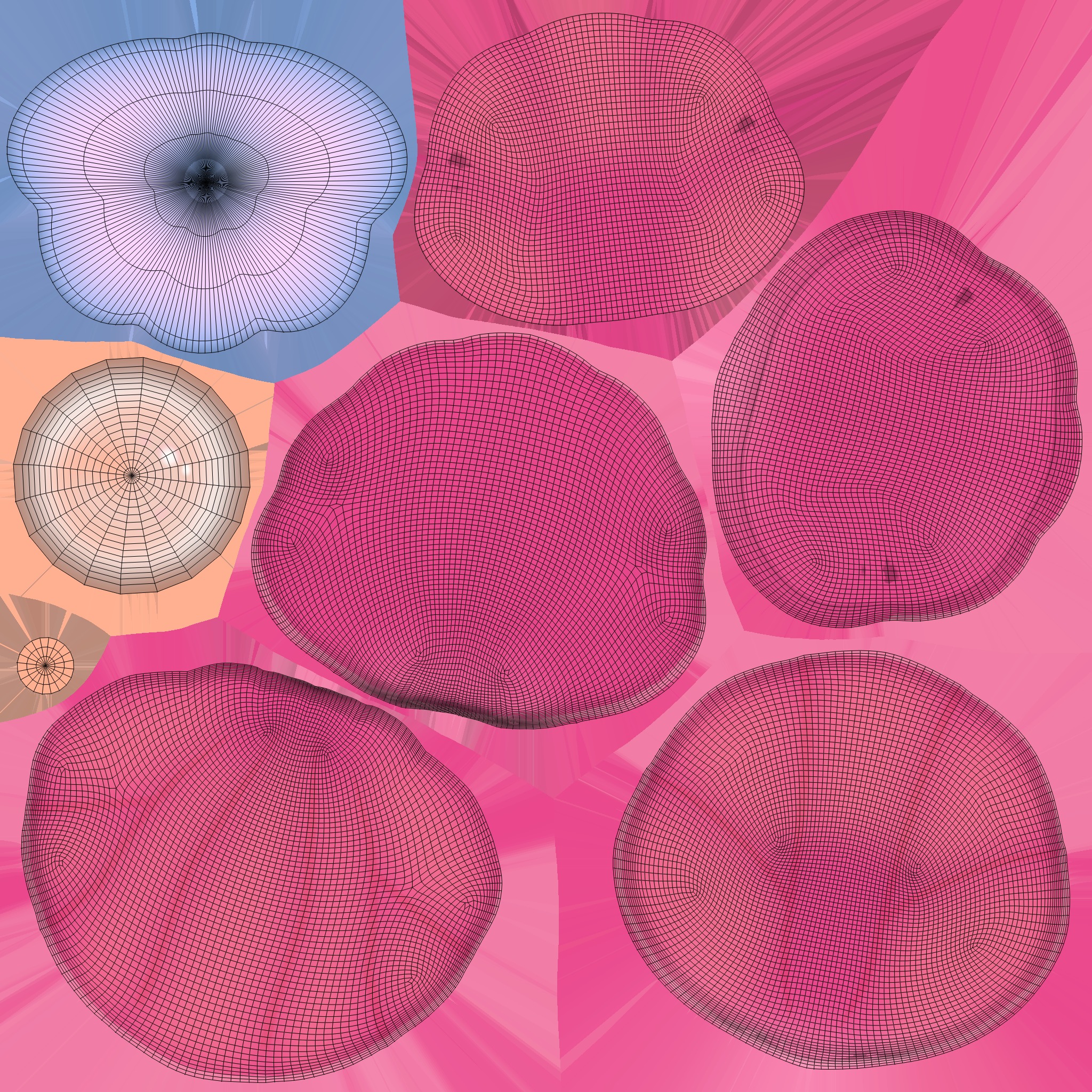 Open Clam Sea Shell 03 Low-poly 3D model_7