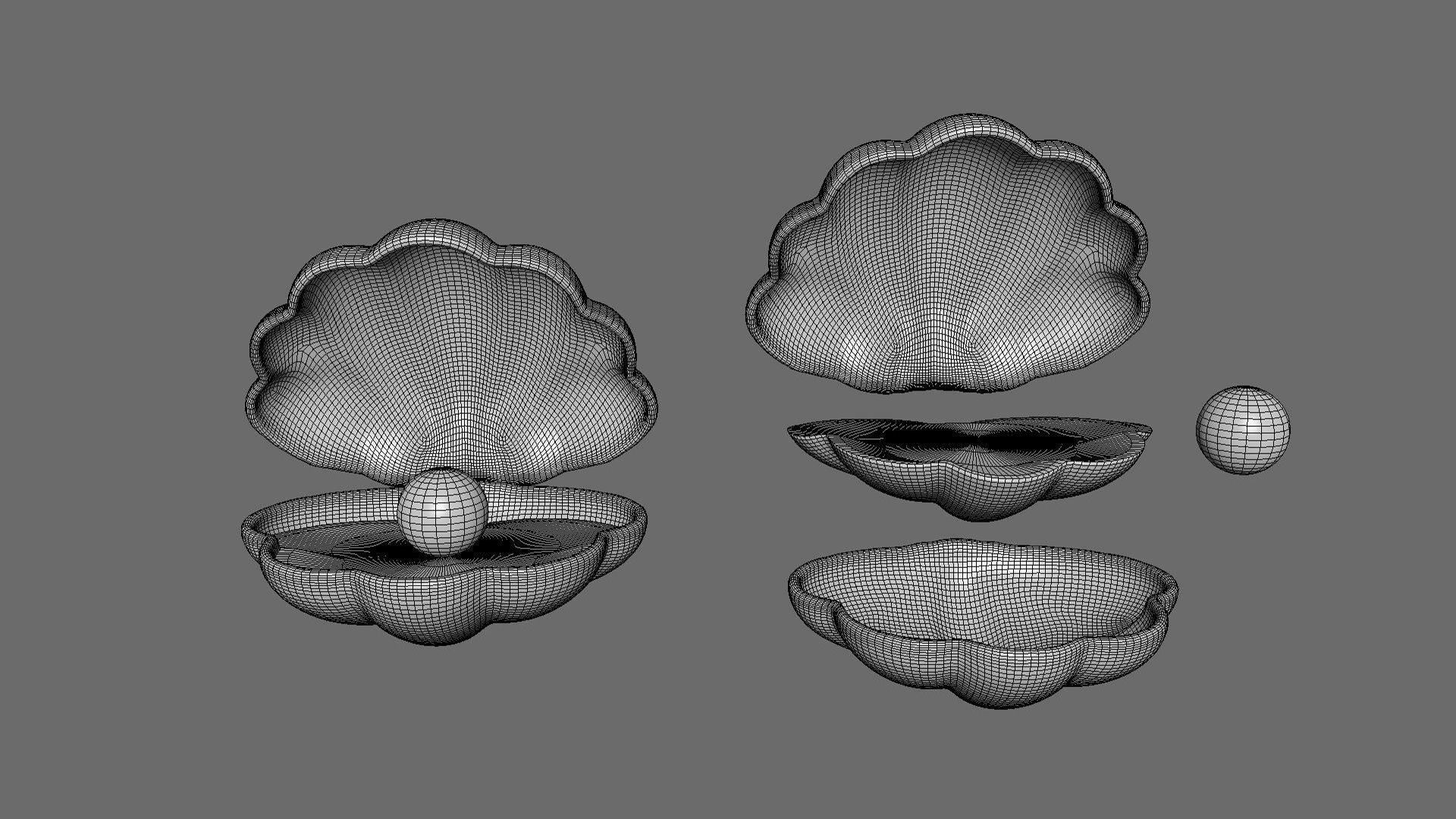 Open Clam Sea Shell 03 Low-poly 3D model_6