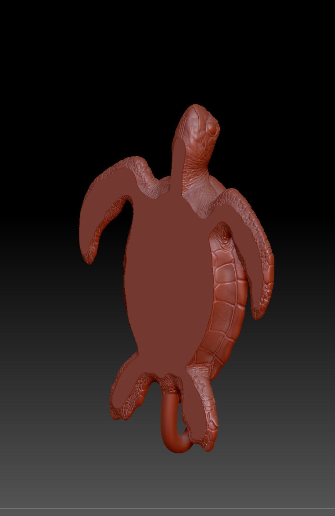 Turtle 3D print model_1