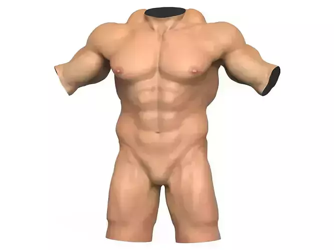 Realistic Muscular Man Torso With 3D Print Ready Model