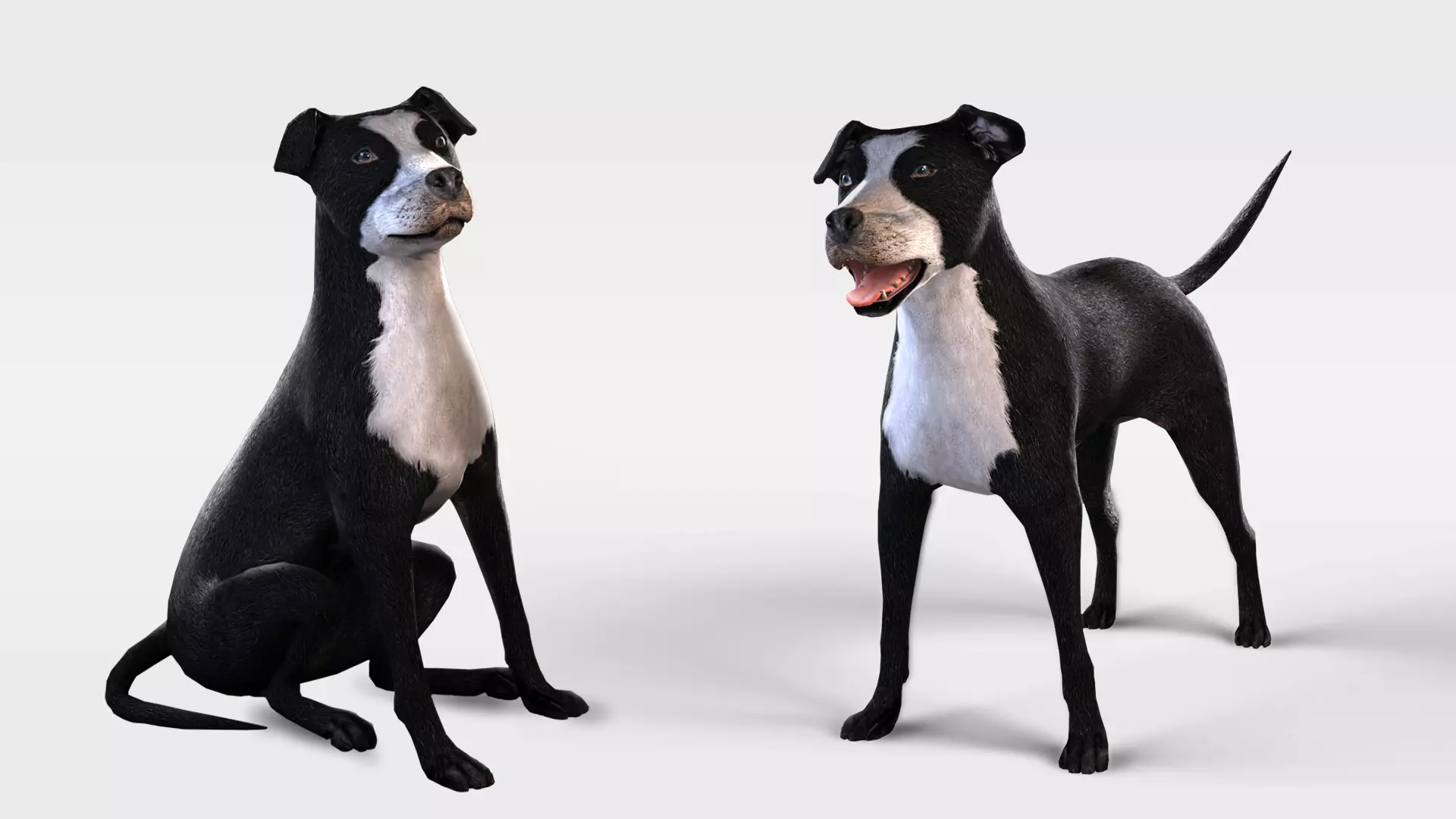 Dog Rigged  Low-poly 3D model_0