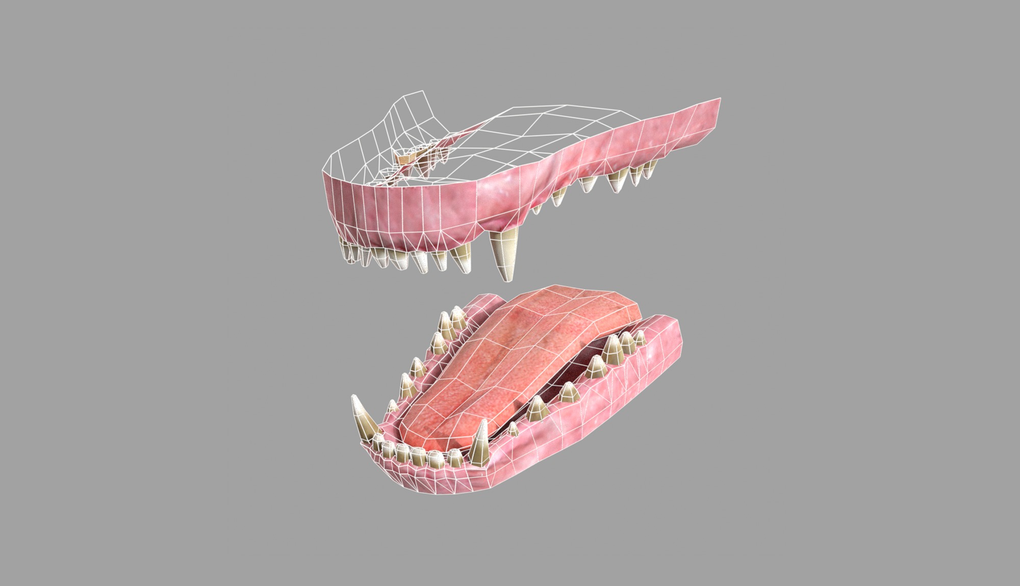 Dog Rigged  Low-poly 3D model_3