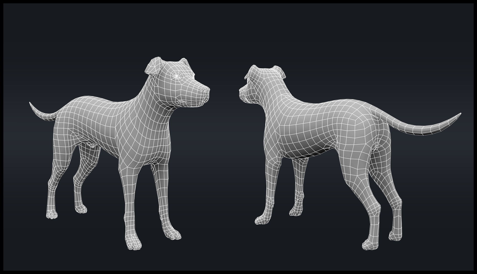 Dog Rigged  Low-poly 3D model_1