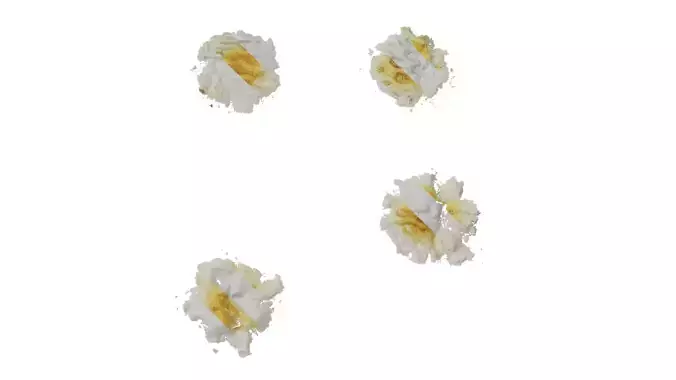 Anydrafts Dirty cookies 12