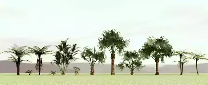 Set of Trees - High-Quality Models for Realistic Environments