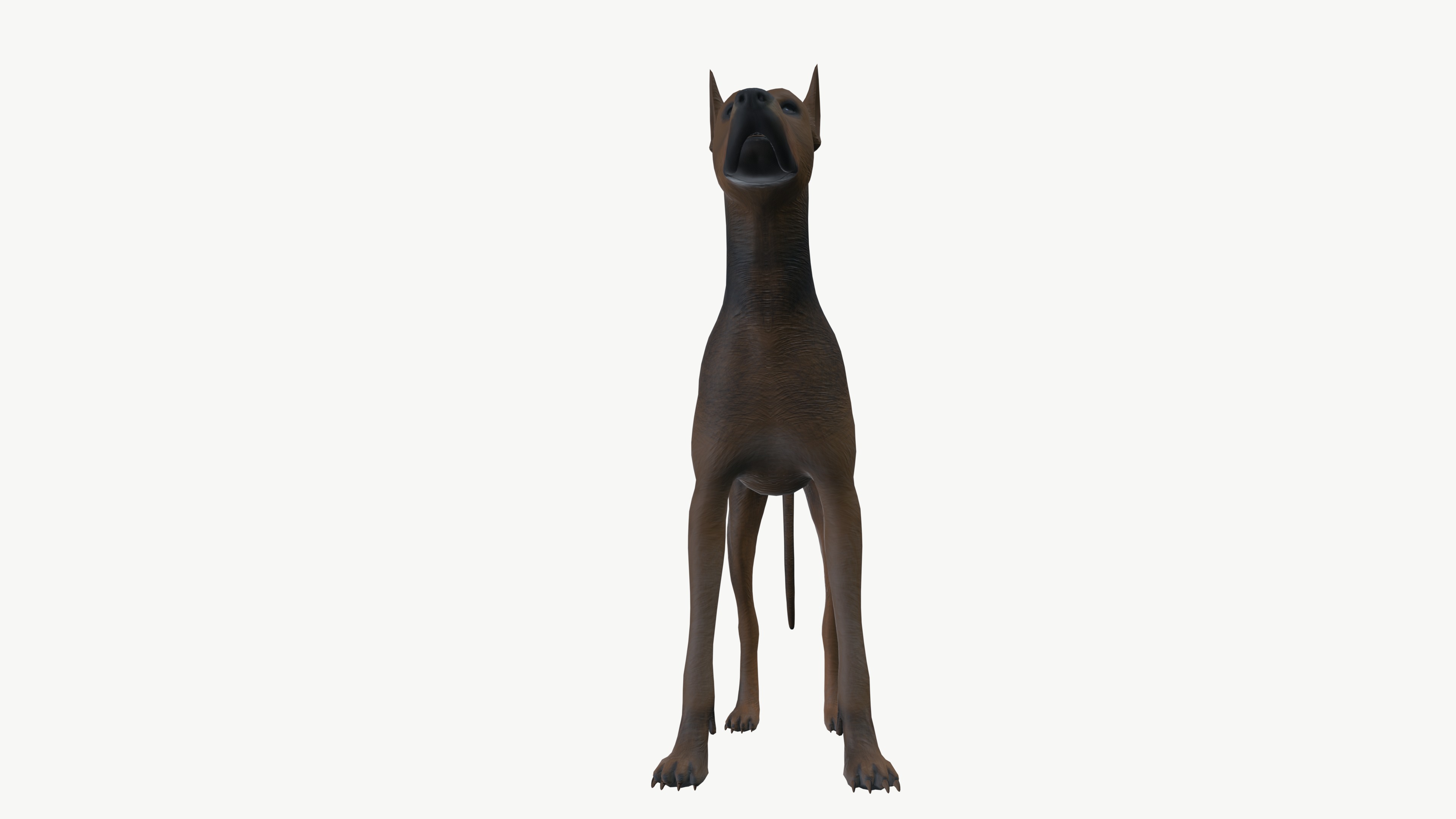Brown Dog 3D model_8