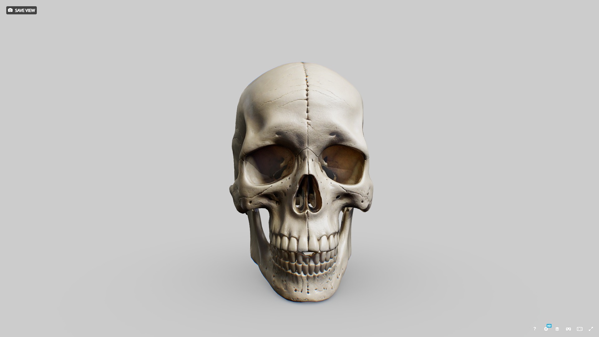 Human Skull Low-poly 3D model_3