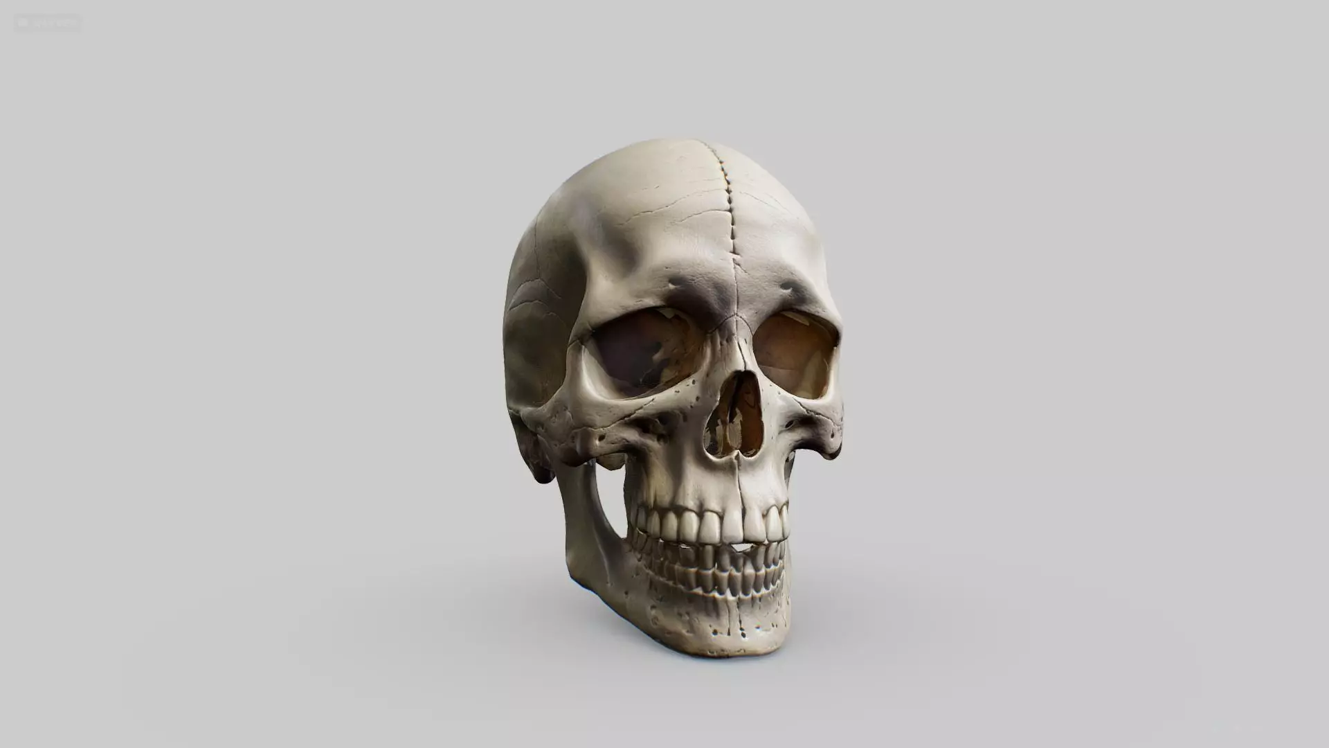 Human Skull Low-poly 3D model_0