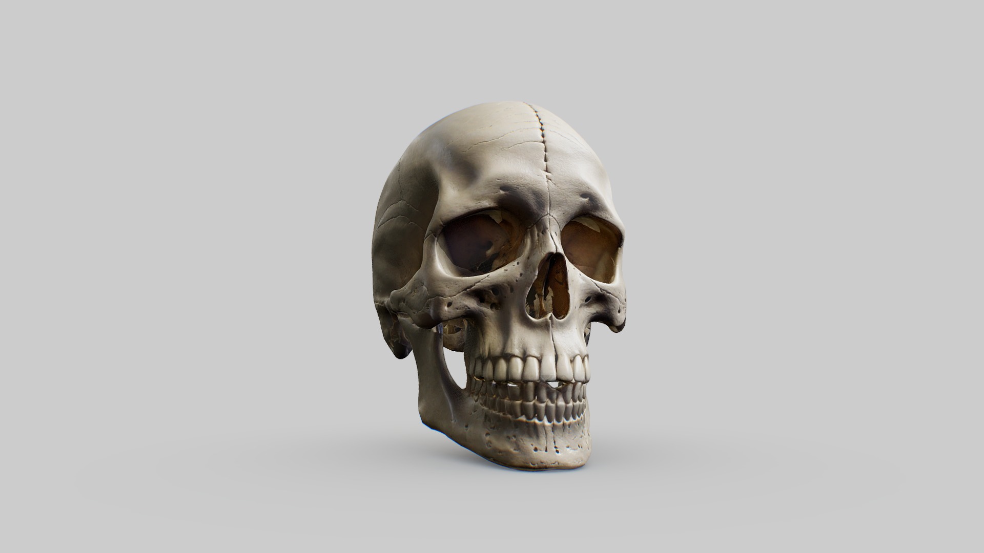 Human Skull Low-poly 3D model_10