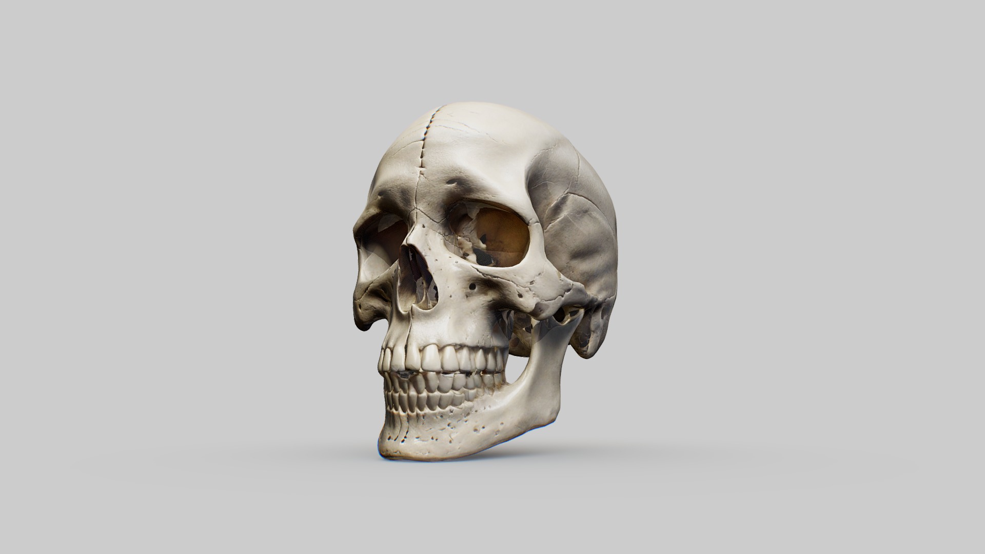 Human Skull Low-poly 3D model_9