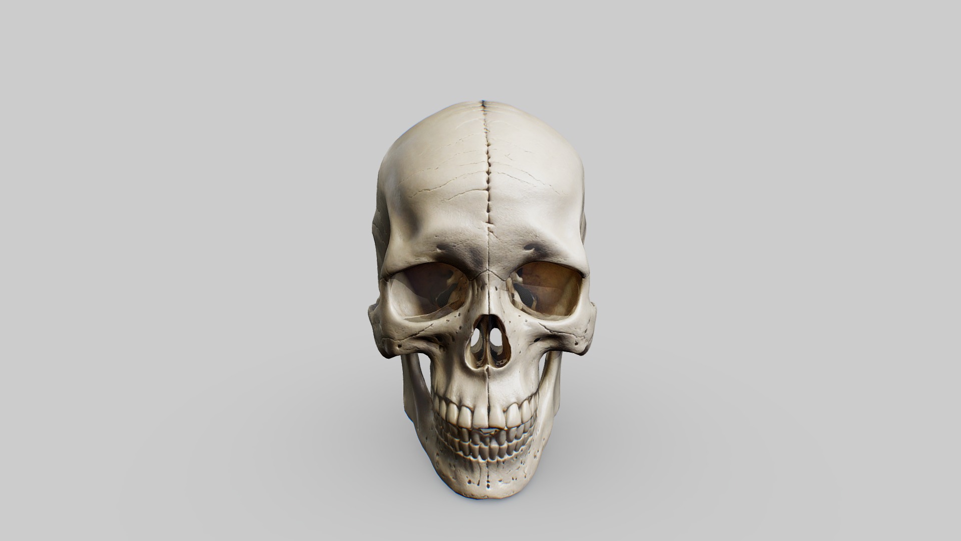 Human Skull Low-poly 3D model_2