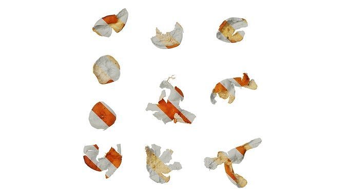 Anydrafts Dried orange peel 02 Texture