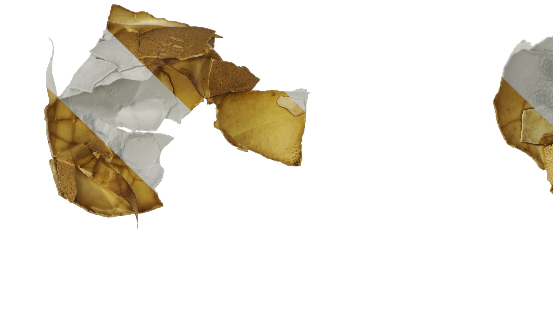 Anydrafts Egg shell 01 Texture_1