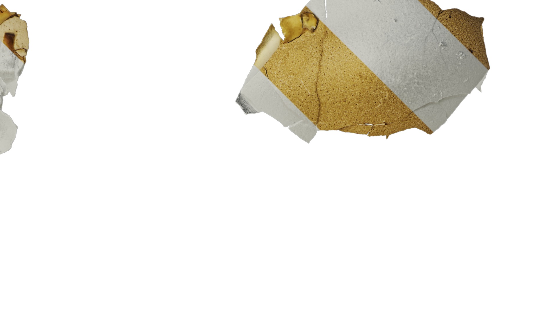 Anydrafts Egg shell 01 Texture_2