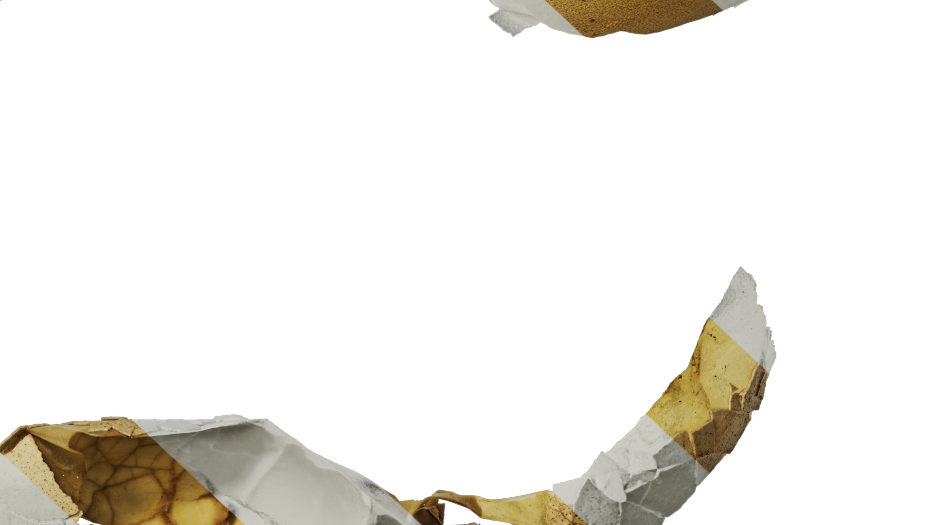 Anydrafts Egg shell 01 Texture_6