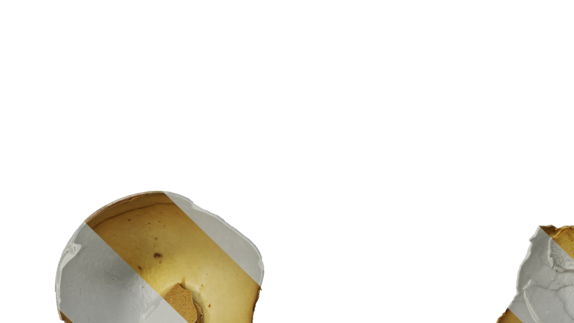 Anydrafts Egg shell 01 Texture_3