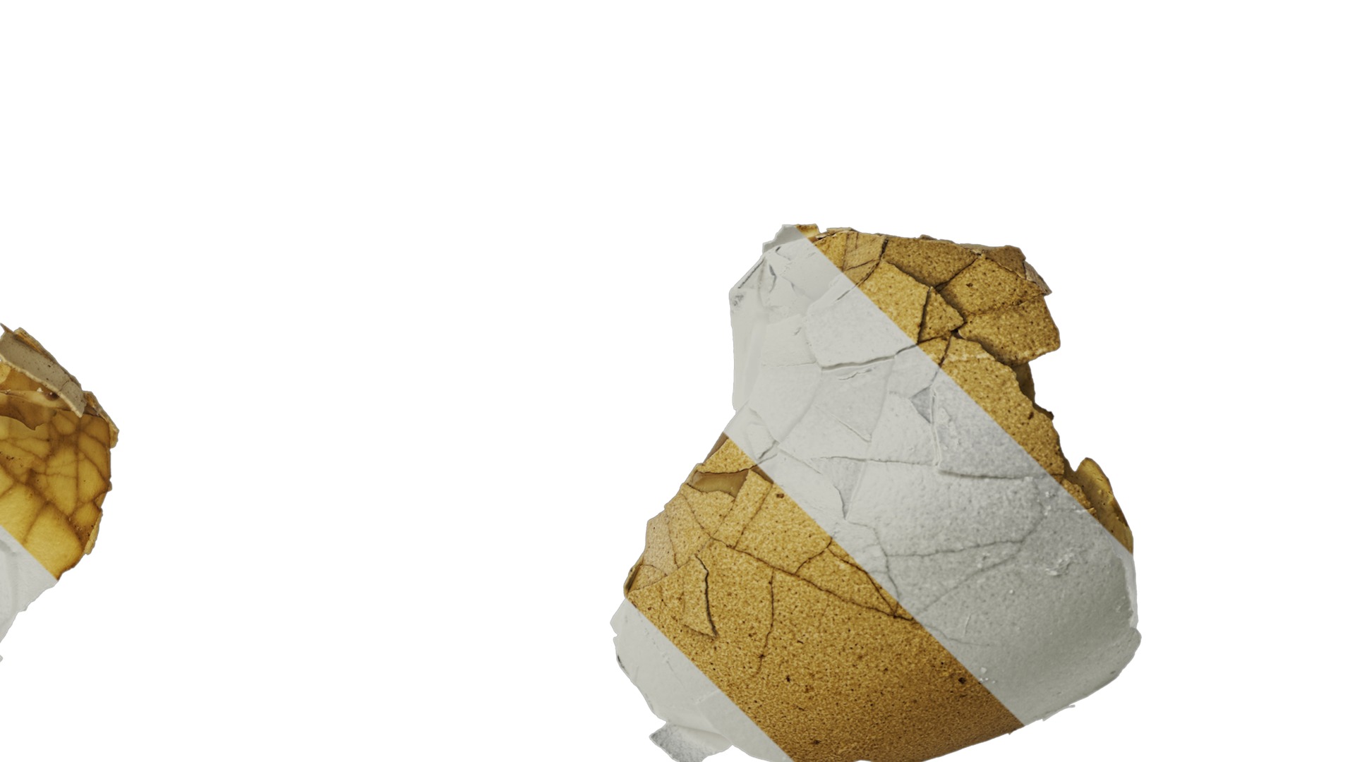 Anydrafts Egg shell 01 Texture_4