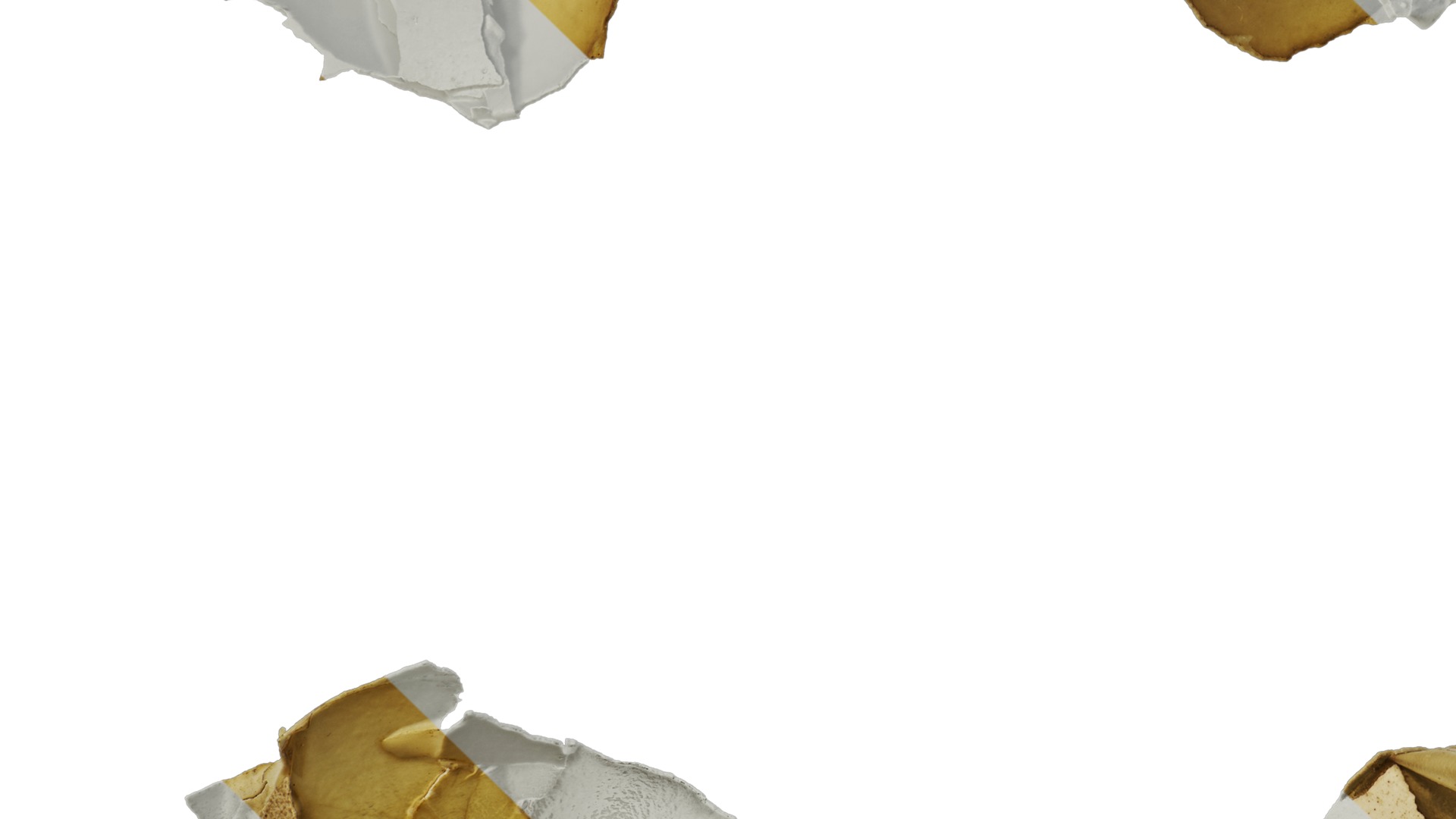 Anydrafts Egg shell 01 Texture_5