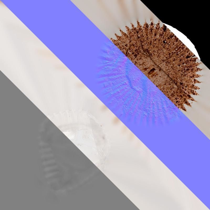 Anydrafts Egg tart paper 01 Texture_8