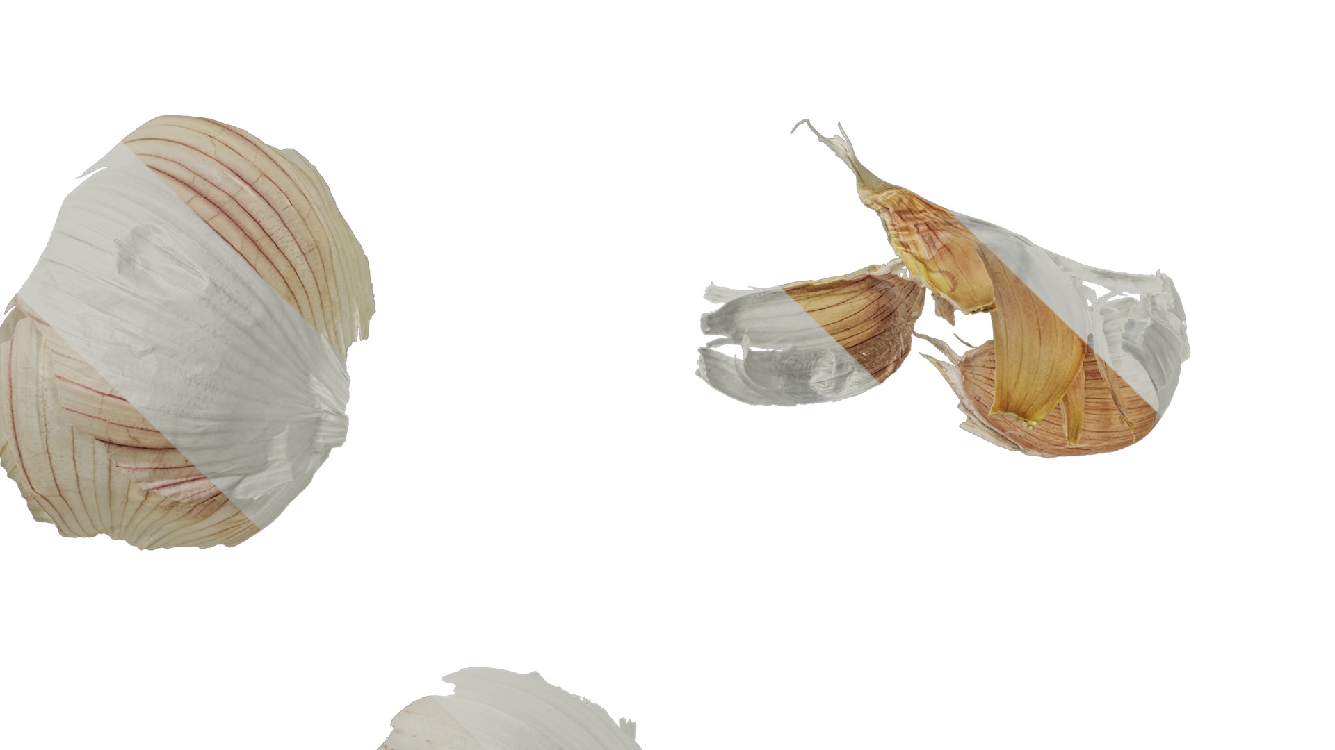 Anydrafts Garlic skins 01 Texture_5