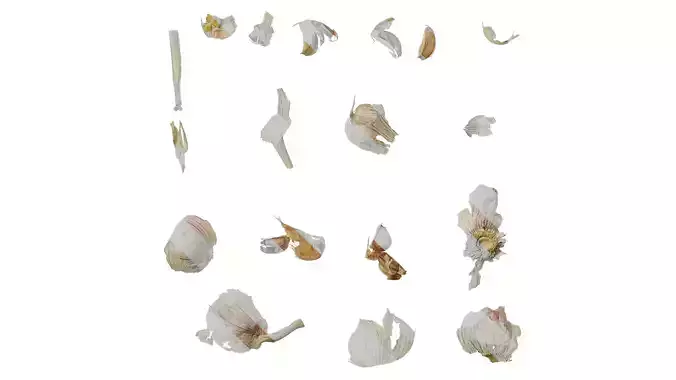 Anydrafts Garlic skins 01