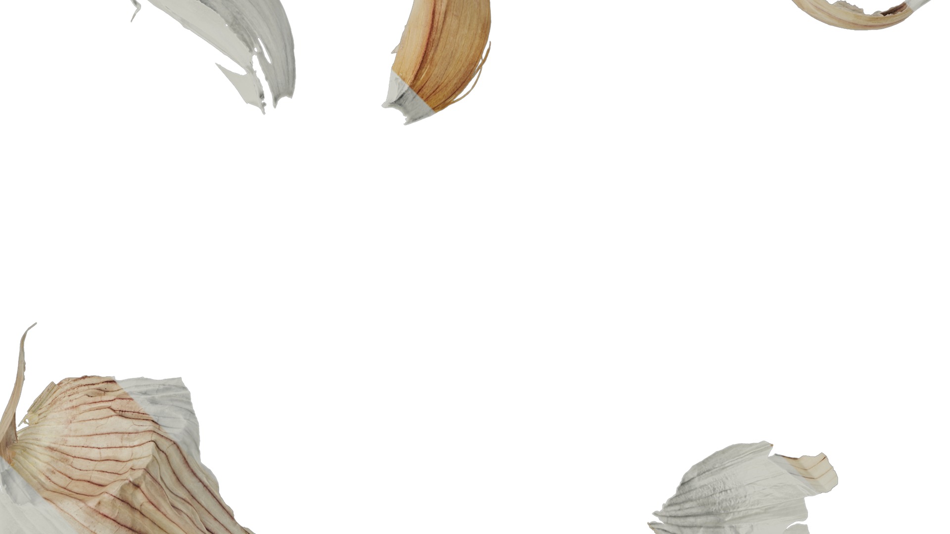 Anydrafts Garlic skins 01 Texture_2