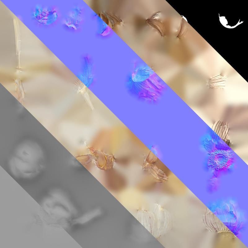 Anydrafts Garlic skins 01 Texture_8