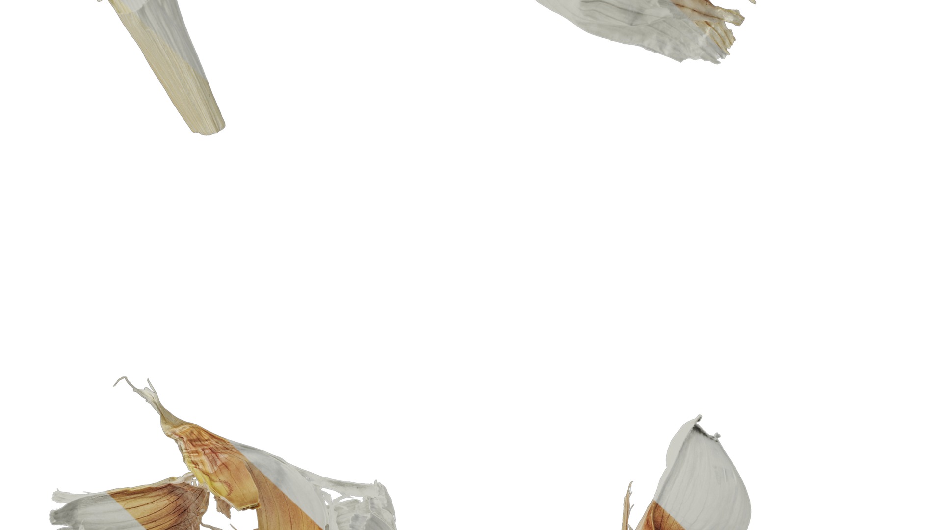 Anydrafts Garlic skins 01 Texture_7