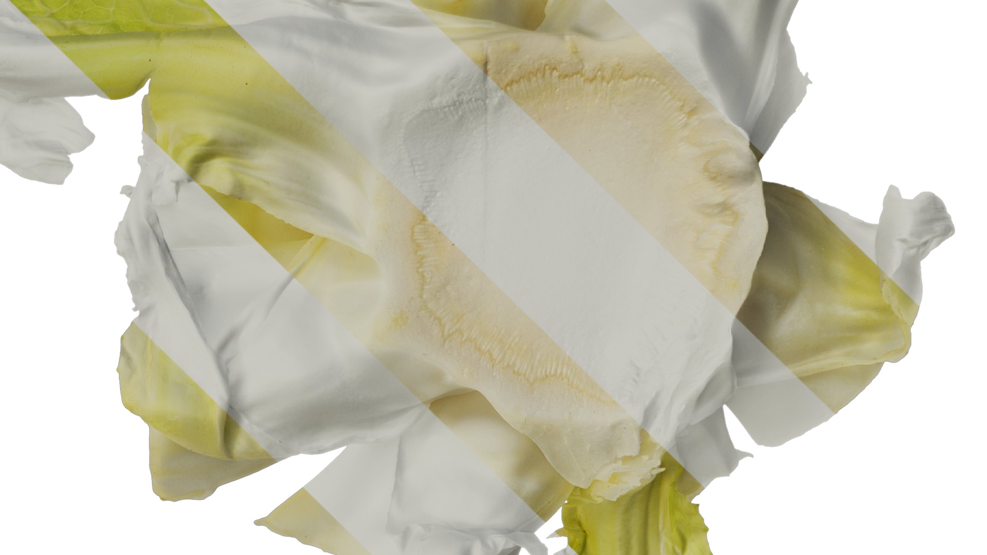 Anydrafts Kitchen waste 01 Texture_4