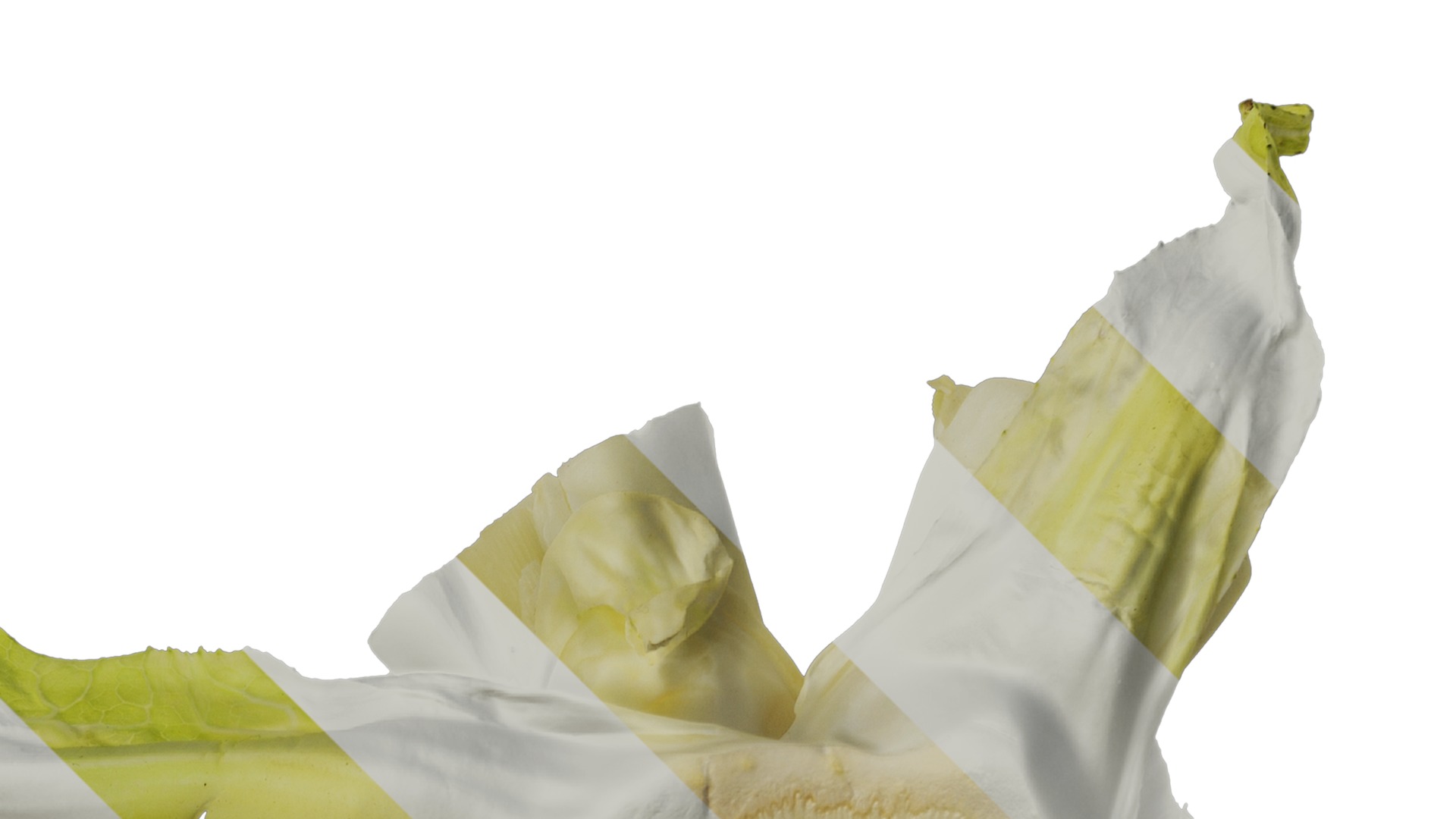 Anydrafts Kitchen waste 01 Texture_2