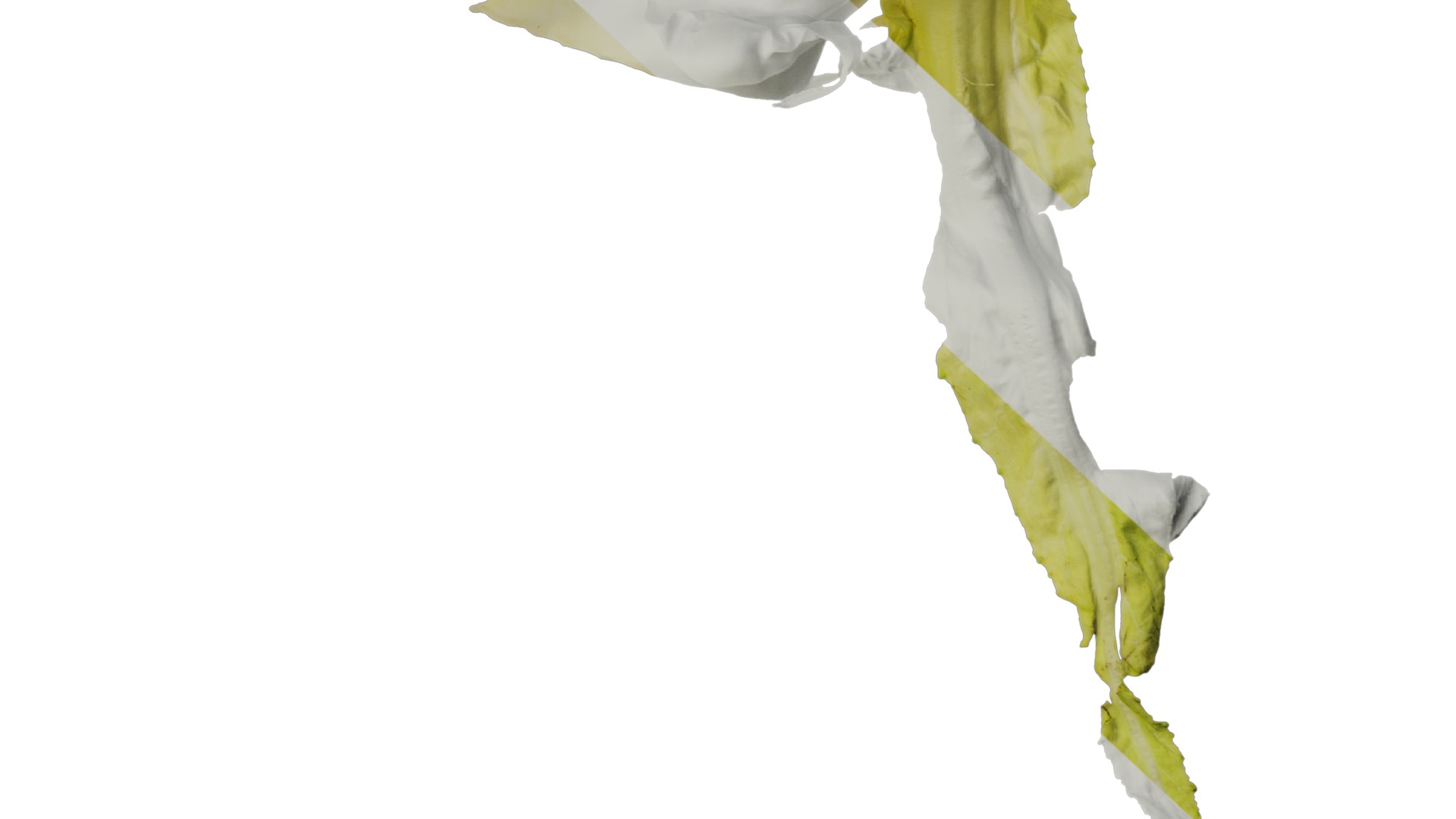 Anydrafts Kitchen waste 01 Texture_6