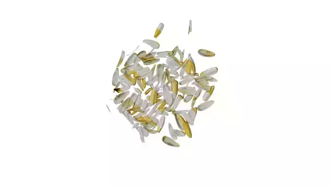 Anydrafts Melon seed shell 01