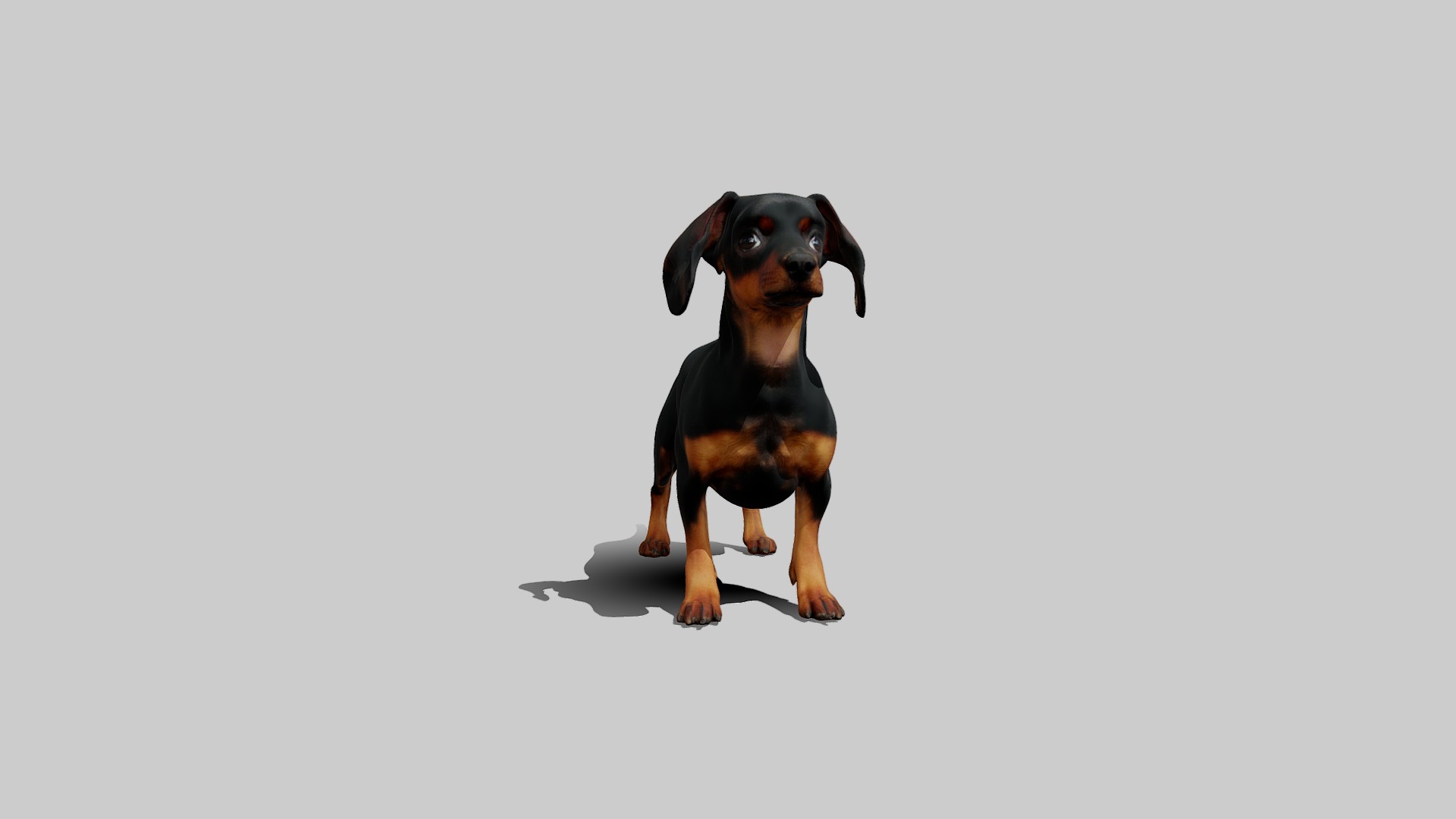 Rigged Animated Pinscher Dog Low-poly 3D model_7