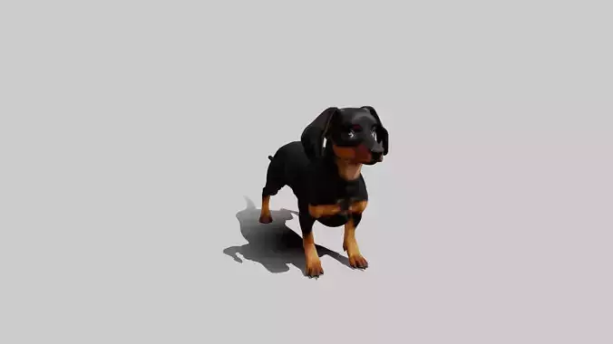Rigged Animated Pinscher Dog Low-poly 3D model