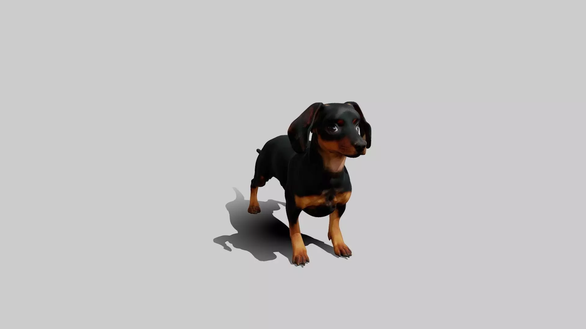 Rigged Animated Pinscher Dog Low-poly 3D model_0