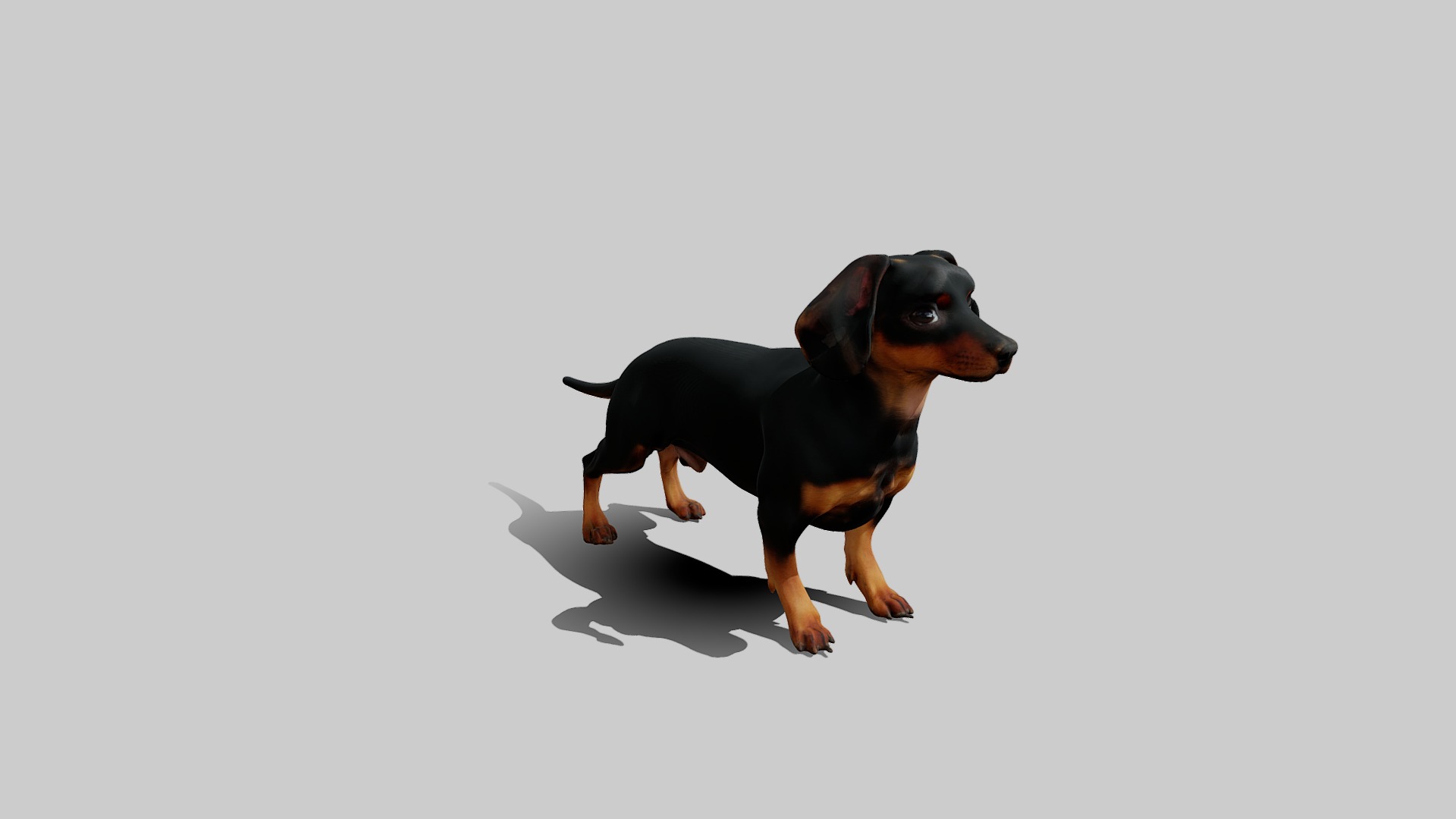Rigged Animated Pinscher Dog Low-poly 3D model_2