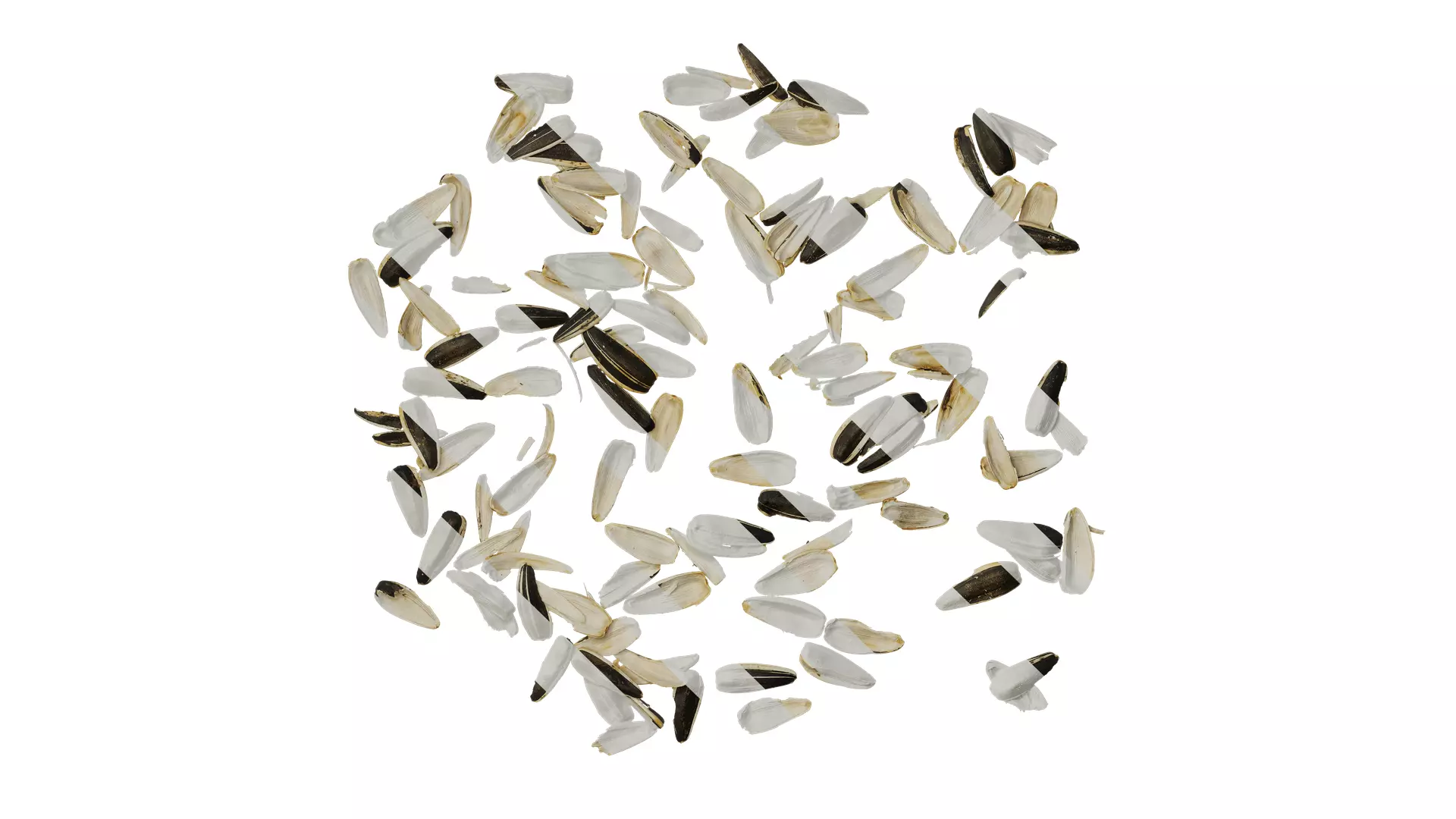 Anydrafts Melon seed shell 03 Texture_0