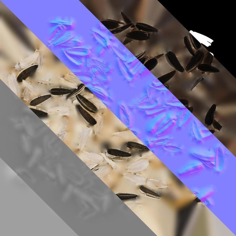 Anydrafts Melon seed shell 03 Texture_8