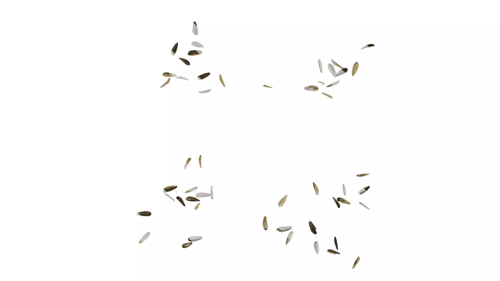 Anydrafts Melon seed shell 07 Texture_0