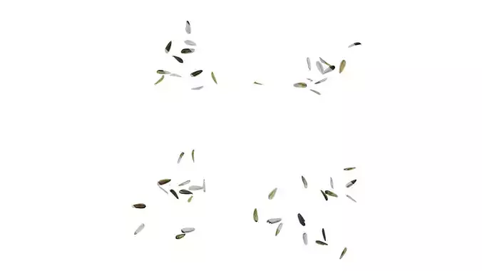 Anydrafts Melon seed shell 07 Texture