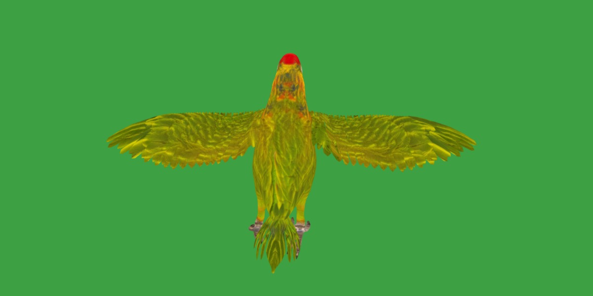 Varied Lorikeet Bird Low-poly 3D model_32