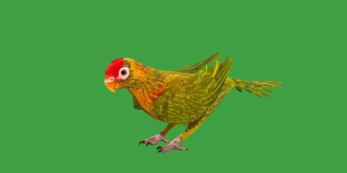 Varied Lorikeet Bird Low-poly 3D model_0