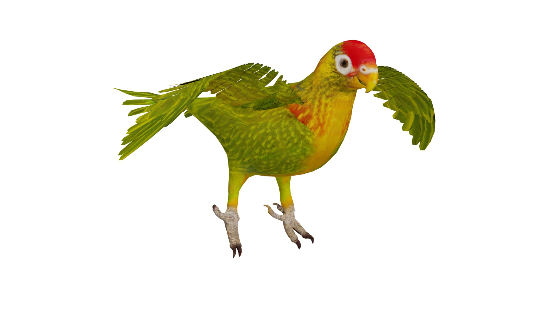 Varied Lorikeet Bird Low-poly 3D model_5