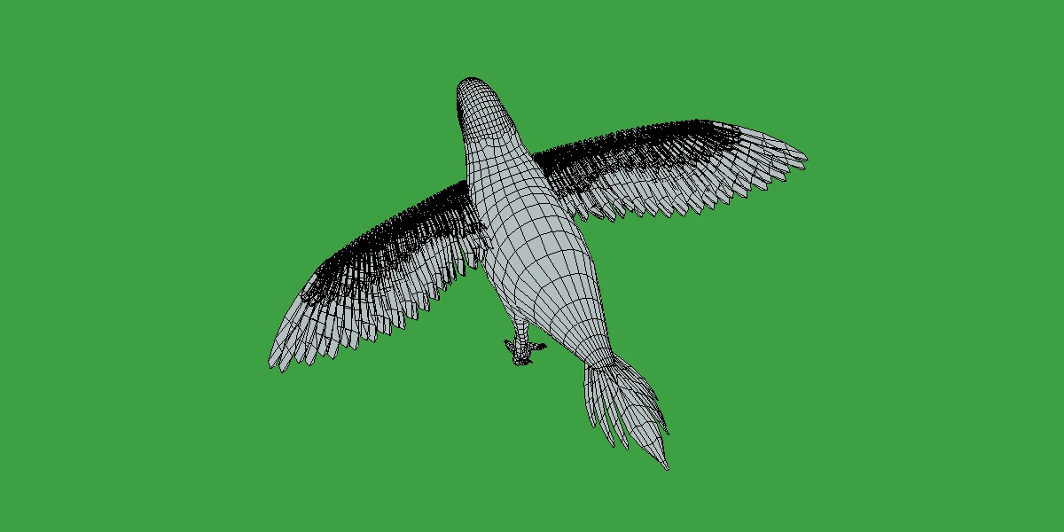 Varied Lorikeet Bird Low-poly 3D model_23