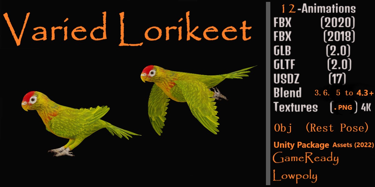 Varied Lorikeet Bird Low-poly 3D model_2